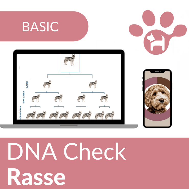 BASIC - DNA CHECK Rasse - DNA4Pets GmbH