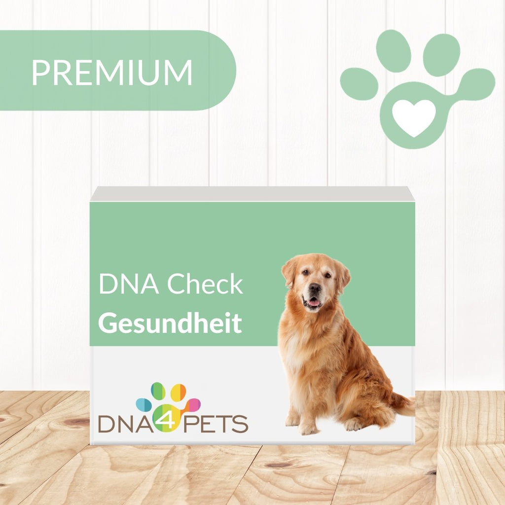 PREMIUM - DNA CHECK Gesundheit - DNA4Pets GmbH