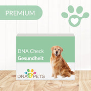 PREMIUM - DNA CHECK Gesundheit - DNA4Pets GmbH