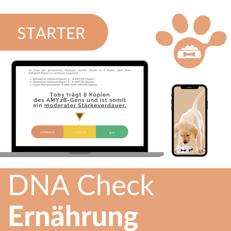 STARTER - DNA CHECK Ernährung - DNA4Pets GmbH