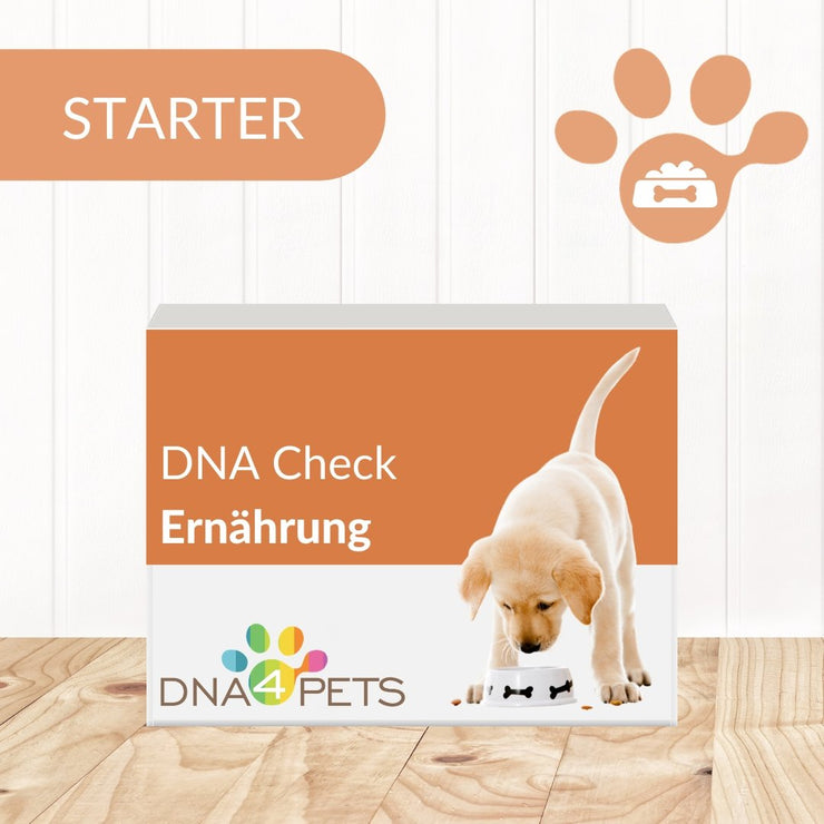 STARTER - DNA CHECK Ernährung - DNA4Pets GmbH